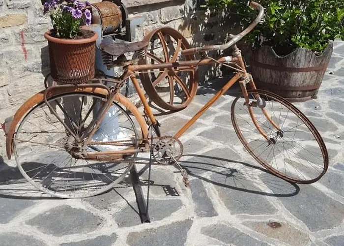 Canardo Autural * Oros Alto